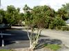 607 - 615 SW St. Lucie Crescent photo